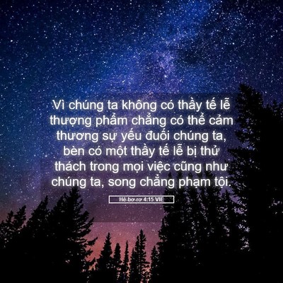 Picture 05 - Hê-bơ-rơ 4:15 VIE - Vì chúng ta không có thầy tế lễ - Bible Verse Picture
