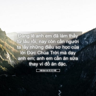 Picture 05 - Hê-bơ-rơ 5:12 VIE - Đáng lẽ anh em đã làm thầy từ lâu - Bible Verse Picture