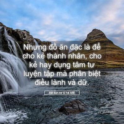 Picture 05 - Hê-bơ-rơ 5:14 VIE - Nhưng đồ ăn đặc là để cho kẻ thành - Bible Verse Picture