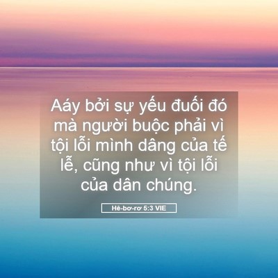 Picture 05 - Hê-bơ-rơ 5:3 VIE - Aáy bởi sự yếu đuối đó mà người - Bible Verse Picture