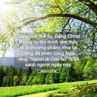 Picture 05 - Hê-bơ-rơ 5:5 VIE - Cũng một thể ấy, Đấng Christ không - Bible Verse Picture