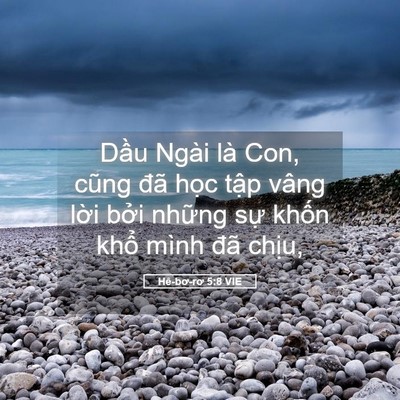 Picture 05 - Hê-bơ-rơ 5:8 VIE - Dầu Ngài là Con, cũng đã học tập vâng - Bible Verse Picture