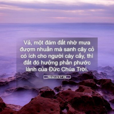 Picture 05 - Hê-bơ-rơ 6:7 VIE - Vả, một đám đất nhờ mưa đượm - Bible Verse Picture