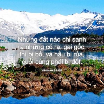Picture 05 - Hê-bơ-rơ 6:8 VIE - Nhưng đất nào chỉ sanh ra những cỏ - Bible Verse Picture