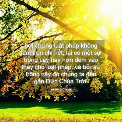 Picture 05 - Hê-bơ-rơ 7:19 VIE - bởi chưng luật pháp không làm trọn chi - Bible Verse Picture