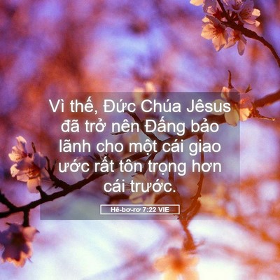 Picture 05 - Hê-bơ-rơ 7:22 VIE - Vì thế, Đức Chúa Jêsus đã trở nên - Bible Verse Picture