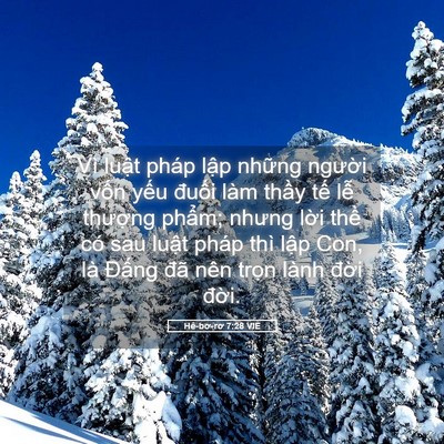 Picture 05 - Hê-bơ-rơ 7:28 VIE - Vì luật pháp lập những người vốn - Bible Verse Picture