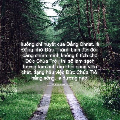 Picture 05 - Hê-bơ-rơ 9:14 VIE - huống chi huyết của Đấng Christ, là - Bible Verse Picture