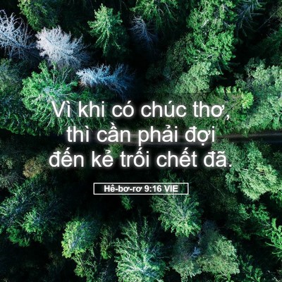 Picture 05 - Hê-bơ-rơ 9:16 VIE - Vì khi có chúc thơ, thì cần phải đợi - Bible Verse Picture