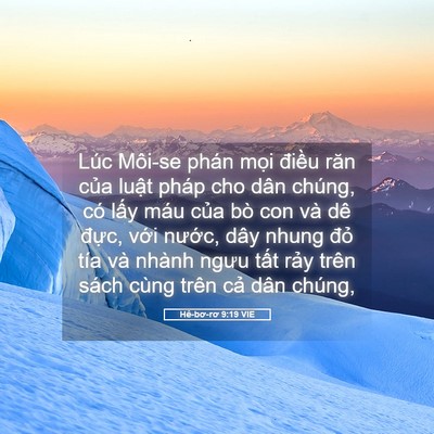 Picture 05 - Hê-bơ-rơ 9:19 VIE - Lúc Môi-se phán mọi điều răn của - Bible Verse Picture