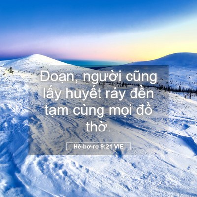 Picture 05 - Hê-bơ-rơ 9:21 VIE - Đoạn, người cũng lấy huyết rảy - Bible Verse Picture