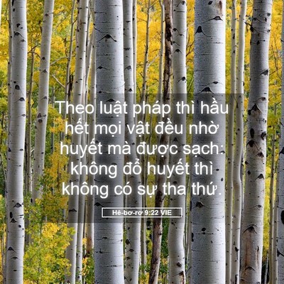 Picture 05 - Hê-bơ-rơ 9:22 VIE - Theo luật pháp thì hầu hết mọi vật - Bible Verse Picture