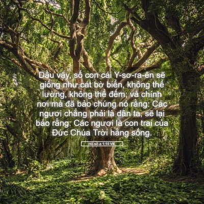 Picture 05 - Hô-sê-a 1:10 VIE - Dầu vậy, số con cái Y-sơ-ra-ên sẽ - Bible Verse Picture