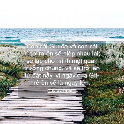 Picture 05 - Hô-sê-a 1:11 VIE - Con cái Giu-đa và con cái Y-sơ-ra-ên sẽ - Bible Verse Picture