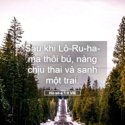 Picture 05 - Hô-sê-a 1:8 VIE - Sau khi Lô-Ru-ha-ma thôi bú, nàng chịu thai - Bible Verse Picture