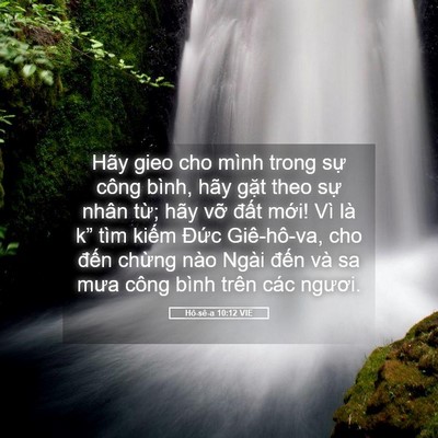Picture 05 - Hô-sê-a 10:12 VIE - Hãy gieo cho mình trong sự công bình, hãy - Bible Verse Picture