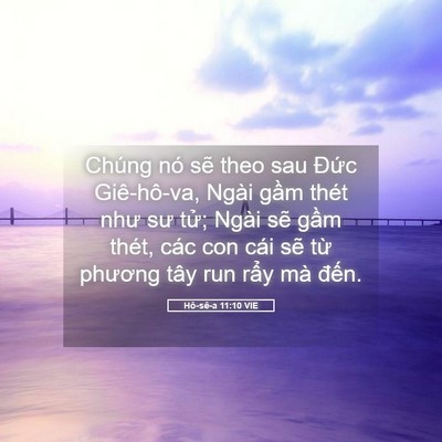 Picture 05 - Hô-sê-a 11:10 VIE - Chúng nó sẽ theo sau Đức Giê-hô-va, - Bible Verse Picture