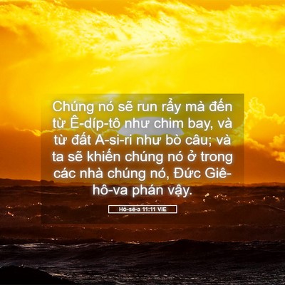 Picture 05 - Hô-sê-a 11:11 VIE - Chúng nó sẽ run rẩy mà đến từ - Bible Verse Picture