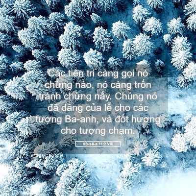 Picture 05 - Hô-sê-a 11:2 VIE - Các tiên tri càng gọi nó chừng nào, nó - Bible Verse Picture