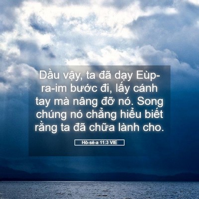 Picture 05 - Hô-sê-a 11:3 VIE - Dầu vậy, ta đã dạy Eùp-ra-im bước - Bible Verse Picture