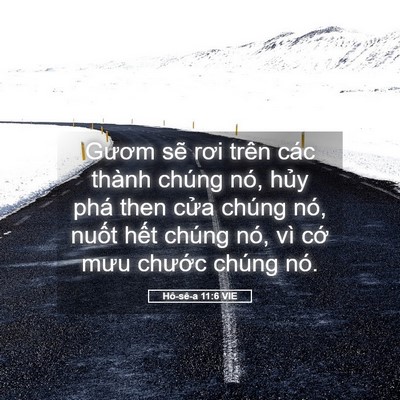 Picture 05 - Hô-sê-a 11:6 VIE - Gươm sẽ rơi trên các thành chúng nó, - Bible Verse Picture