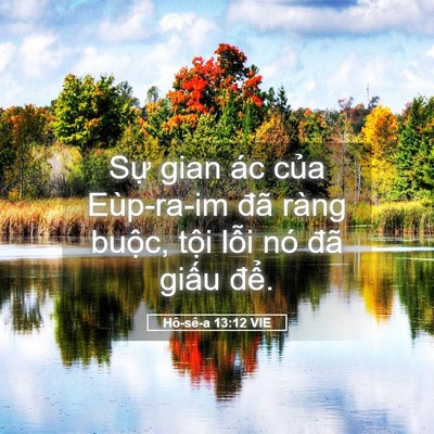 Picture 05 - Hô-sê-a 13:12 VIE - Sự gian ác của Eùp-ra-im đã ràng buộc, - Bible Verse Picture