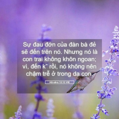 Picture 05 - Hô-sê-a 13:13 VIE - Sự đau đớn của đàn bà đẻ sẽ - Bible Verse Picture