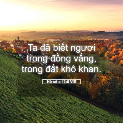 Picture 05 - Hô-sê-a 13:5 VIE - Ta đã biết ngươi trong đồng vắng, - Bible Verse Picture