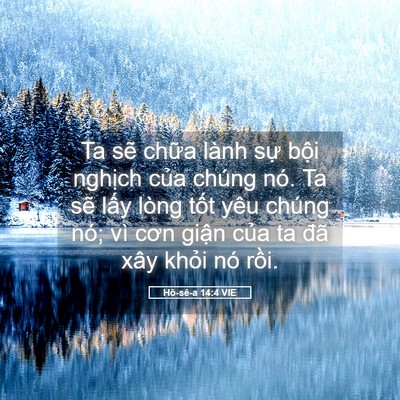 Picture 05 - Hô-sê-a 14:4 VIE - Ta sẽ chữa lành sự bội nghịch của - Bible Verse Picture