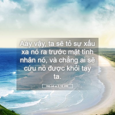 Picture 05 - Hô-sê-a 2:10 VIE - Aáy vậy, ta sẽ tỏ sự xấu xa nó ra - Bible Verse Picture