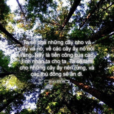 Picture 05 - Hô-sê-a 2:12 VIE - Ta sẽ phá những cây nho và cây vả nó, - Bible Verse Picture