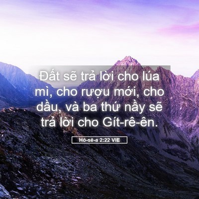 Picture 05 - Hô-sê-a 2:22 VIE - Đất sẽ trả lời cho lúa mì, cho rượu - Bible Verse Picture