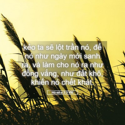 Picture 05 - Hô-sê-a 2:3 VIE - kẻo ta sẽ lột trần nó, để nó như - Bible Verse Picture