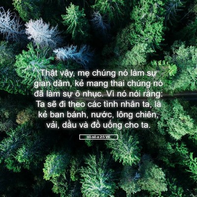 Picture 05 - Hô-sê-a 2:5 VIE - Thật vậy, mẹ chúng nó làm sự gian - Bible Verse Picture