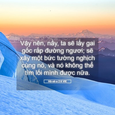 Picture 05 - Hô-sê-a 2:6 VIE - Vậy nên, nầy, ta sẽ lấy gai gốc rấp - Bible Verse Picture