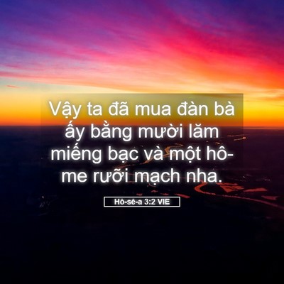 Picture 05 - Hô-sê-a 3:2 VIE - Vậy ta đã mua đàn bà ấy bằng mười - Bible Verse Picture