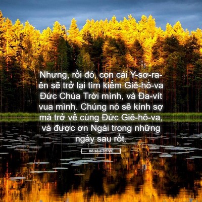 Picture 05 - Hô-sê-a 3:5 VIE - Nhưng, rồi đó, con cái Y-sơ-ra-ên sẽ - Bible Verse Picture