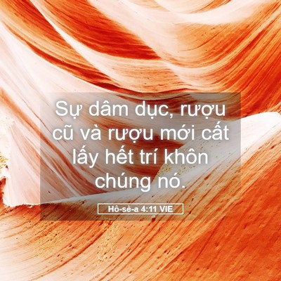 Picture 05 - Hô-sê-a 4:11 VIE - Sự dâm dục, rượu cũ và rượu mới - Bible Verse Picture