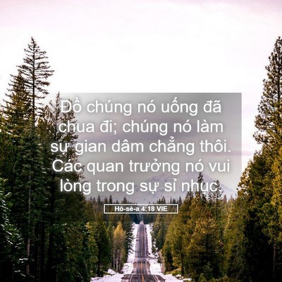 Picture 05 - Hô-sê-a 4:18 VIE - Đồ chúng nó uống đã chua đi; chúng nó - Bible Verse Picture
