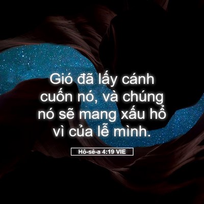 Picture 05 - Hô-sê-a 4:19 VIE - Gió đã lấy cánh cuốn nó, và chúng nó - Bible Verse Picture