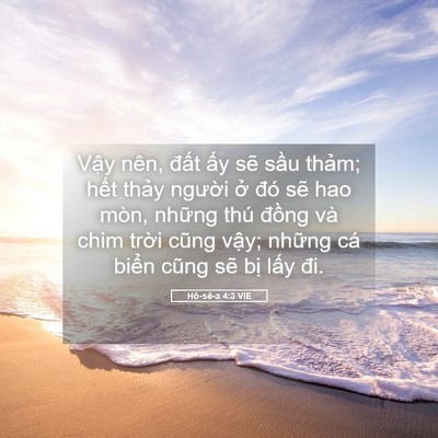 Picture 05 - Hô-sê-a 4:3 VIE - Vậy nên, đất ấy sẽ sầu thảm; hết - Bible Verse Picture