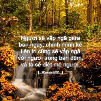 Picture 05 - Hô-sê-a 4:5 VIE - Ngươi sẽ vấp ngã giữa ban ngày; chính - Bible Verse Picture