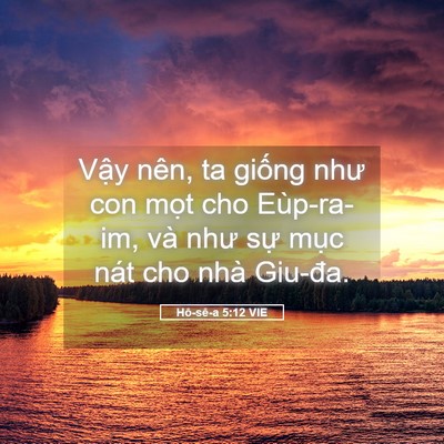 Picture 05 - Hô-sê-a 5:12 VIE - Vậy nên, ta giống như con mọt cho - Bible Verse Picture
