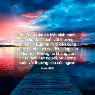 Picture 05 - Hô-sê-a 5:13 VIE - Khi Eùp-ra-im đã biết bịnh mình, và - Bible Verse Picture