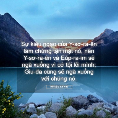 Picture 05 - Hô-sê-a 5:5 VIE - Sự kiêu ngạo của Y-sơ-ra-ên làm chứng - Bible Verse Picture