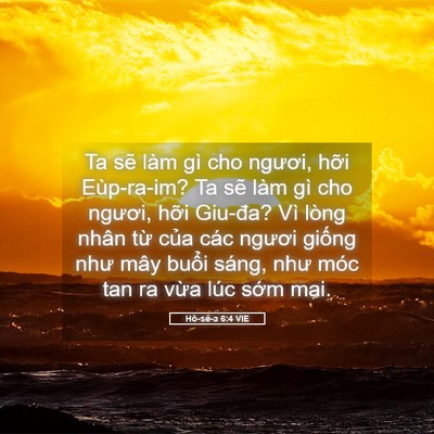 Picture 05 - Hô-sê-a 6:4 VIE - Ta sẽ làm gì cho ngươi, hỡi Eùp-ra-im? - Bible Verse Picture