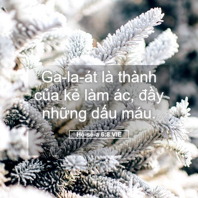 Picture 05 - Hô-sê-a 6:8 VIE - Ga-la-át là thành của kẻ làm ác, đầy - Bible Verse Picture