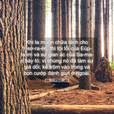 Picture 05 - Hô-sê-a 7:1 VIE - Khi ta muốn chữa lành cho Y-sơ-ra-ên, thì - Bible Verse Picture