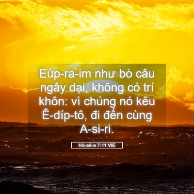 Picture 05 - Hô-sê-a 7:11 VIE - Eùp-ra-im như bò câu ngây dại, không có - Bible Verse Picture