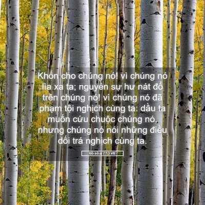 Picture 05 - Hô-sê-a 7:13 VIE - Khốn cho chúng nó! vì chúng nó lìa xa ta; - Bible Verse Picture